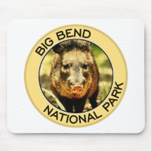 Big Bend National Park Mousepad