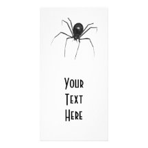 Big Black Creepy 3D Spider Photo Cards
