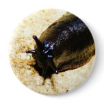 Big Black Slug buttons