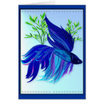 Big Blue Siamese Fighting Fish Cards