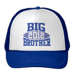 BIG BROTHER 2012 HATS
