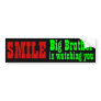 Big Brother is watching you bumpersticker Bumper Sticker
