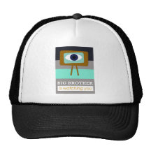 Big Brother is watching you, scandinavian art desi Pet Met Netje
