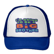 Big Brother hats