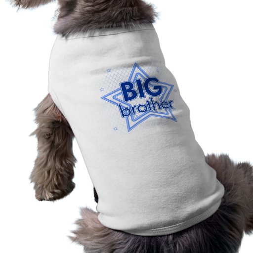 Big Brother Pet Clothing