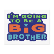 Big Brother Post Cards