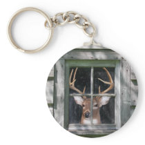 Big Buck