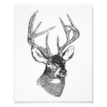BIG BUCK PHOTO