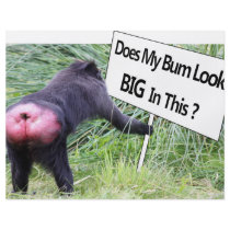Big Bum Sign with Monkey Photo Flyer
