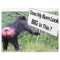 Big Bum Sign with Monkey Photo Personalized Letterhead