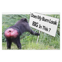 Big Bum Sign with Monkey Photo Stationery Paper