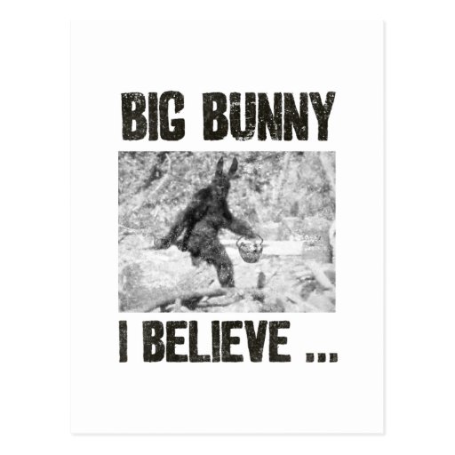Big Bunny Post Cards