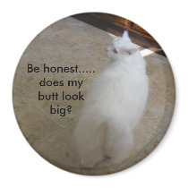 Big butt?-No tail cat