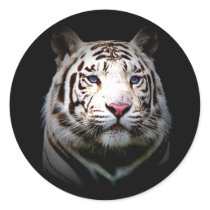 Big Cat Envelope Seals
