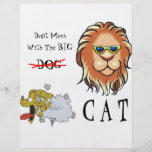 Big Cat Flyers