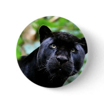 Big Cats  - 4