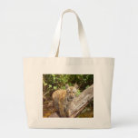 Big Cats - 5 Canvas Bags