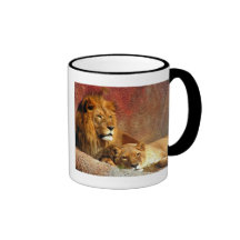 Big Cats - 6 Mugs