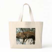 Big Cats - 7 Bags