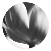 Big City, Black White Mod, Gift Stickers