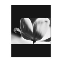 Big City, Black White Mod, Postcard Template
