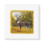 Big Deer standing in grove on customizable product Fridge Magnet