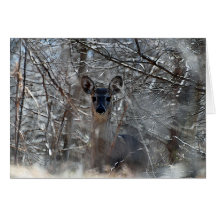 Big Ears Card