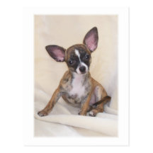 Big Ears Club USA - Humour Post Card