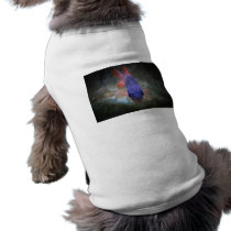 Big Eyed Fish Dog Clothes