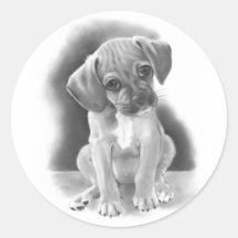 BIG-EYED PUPPY: PENCIL REALISM STICKER