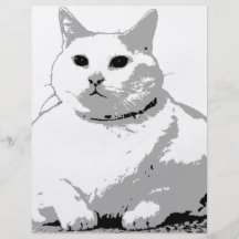 Big Fat Cat Full Color Flyer