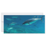 Big Fish Rack Card Template
