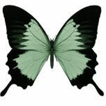 Big Green & Black Butterfly Cut Out