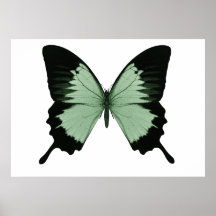 Big Green & Black Butterfly Print