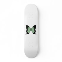 Big Green & Black Butterfly