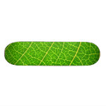 Big Green leaf Skate Deck