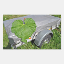 Big Green Leafy Texture Rectangle Stickers