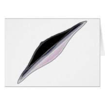 Big Green Womans League-XR71-4X-Flight Trainer Card