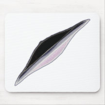 Big Green Womans League-XR71-4X-Flight Trainer Mousepads