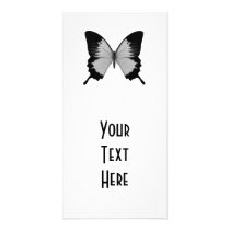 Big Grey & Black Butterfly