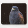 Big Hawk Mousepad