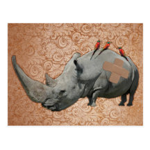 Big Headed Rhino Post Card