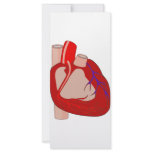Big Hearted rack cards