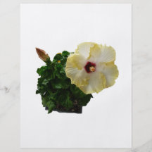 Big Hibiscus Flower with foliage Flyers