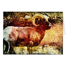 Big Horn-Etching Cards