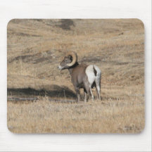 Big Horn Ram Mouse Pads