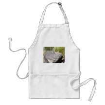 Big horn sheep petroglyph aprons