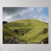 Big Island Rolling Meadow Art Print