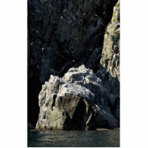 Big Koniuji Island bird cliffs Photo Sculptures