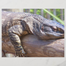 big lizard on log close up custom flyer